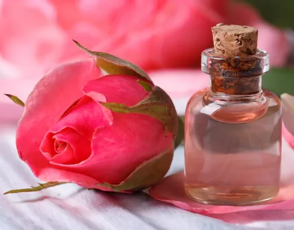 عطر قمصر کاشان (Qamsar Kashan)